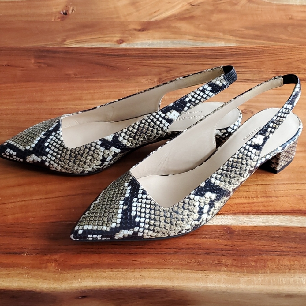 NIB Everlane The Editor Slingback Heels in Snake